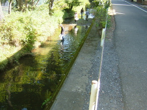 Dscf0740